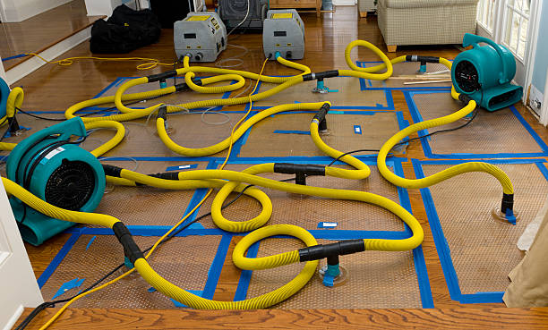 Professional Storm Water Damage Restoration technician working in Rocky Ridge, OH